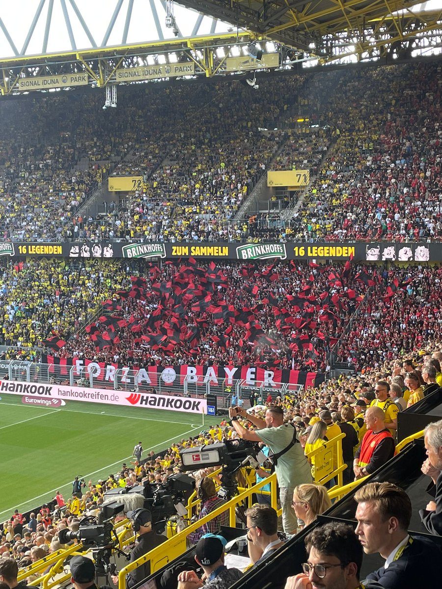 @bayer04fussball's photo on #BVBB04