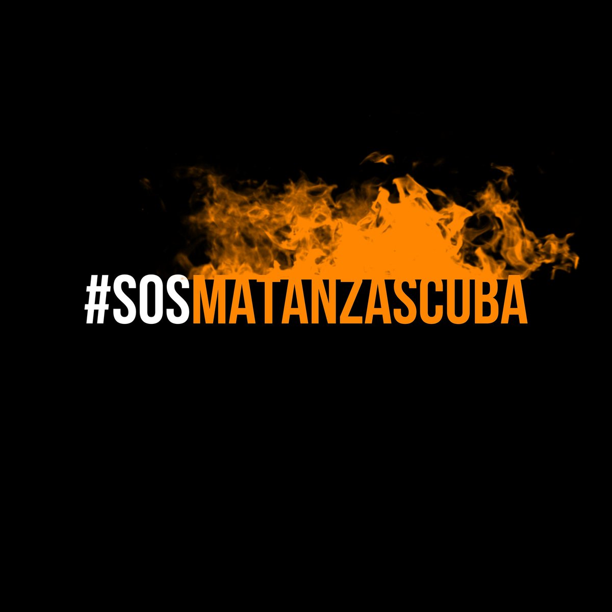 jllopizcasal's tweet photo. #Cuba #dolor #soscuba #sosmatanzas #matanzas
.
#aforismosensartados https://t.co/wzoQIx6giz
