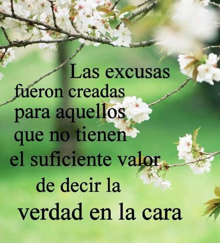 TvVallez's tweet photo. @AnaAnalia125 @vivicanosaok @lanacionmas @todonoticias Anitaaaaaaa no hay mal q por bien no venga.....calma, paciencia, ojo con las cuentas q se están #filtrando las kukas q no permitian q #VivianaConVos sea 1er TT dde q iniciaba @vivicanosaok SU progr. 
Cuiden las cuentas. Paciencia decia mi Abuela. 👇🏼👇🏼👇🏼🤐🇦🇷📺🌞😉 https://t.co/48TbUlEAef