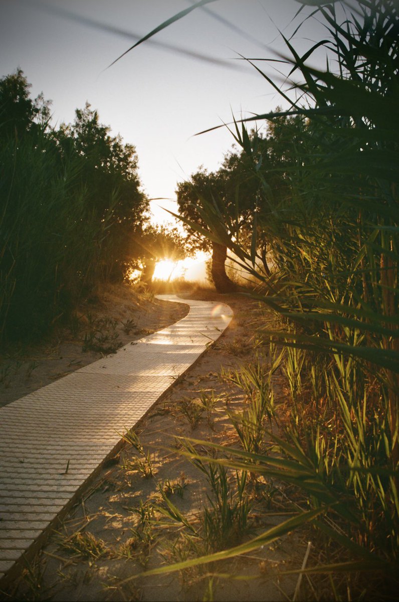 kon0s1's tweet image. Moments on film #kodakgold #filmphotography