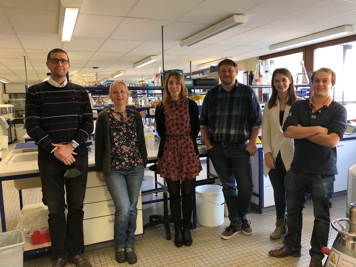 LideSpace's tweet photo. 3/4 The @UNamur team: Charles Nicaise, Valérie De Glas, Katheen De Swert, Valéry Bielarz, Lindsay Sprimont, Nicolas Halloin https://t.co/0wQTQZPxLy