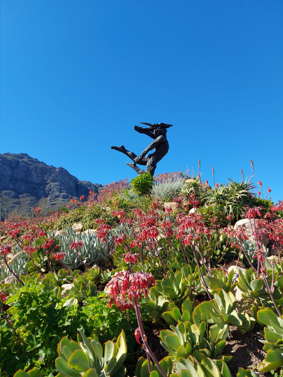 GermanyCapetown's tweet image. I highly recommend to visit Dylan Lewis Sculpture Garden in Stellenbosch. It is such a fantastic place. Magnificent pieces of art against the backdrop of the mountains and fynbos.
🇿🇦 is so overwhelmingly beautiful...