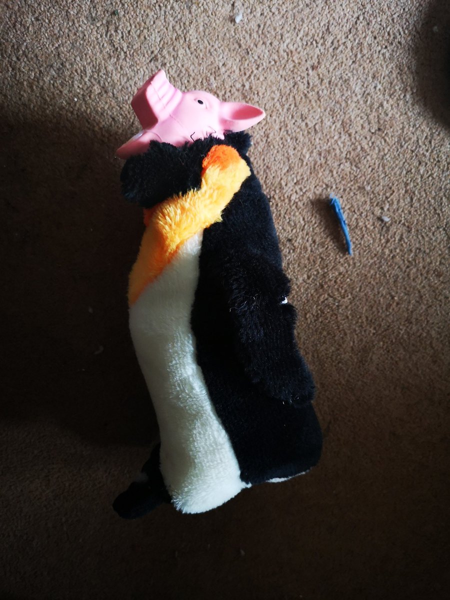 SimoneSCG's tweet image. When your dog destroys every toy so you gotta become Sid from Toy Story...