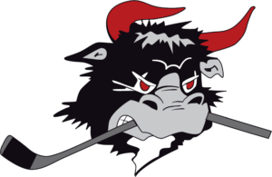 Hockeymagasinet.dk tweet media