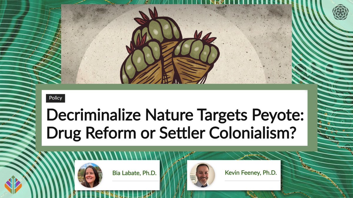 Bia reminds us that #decrim is not a panacea for accessibility, especially for such a scarce species as Lophophora Williamsii. The piece comes at a crucial time and is well worth the read: bit.ly/3vKoSBA