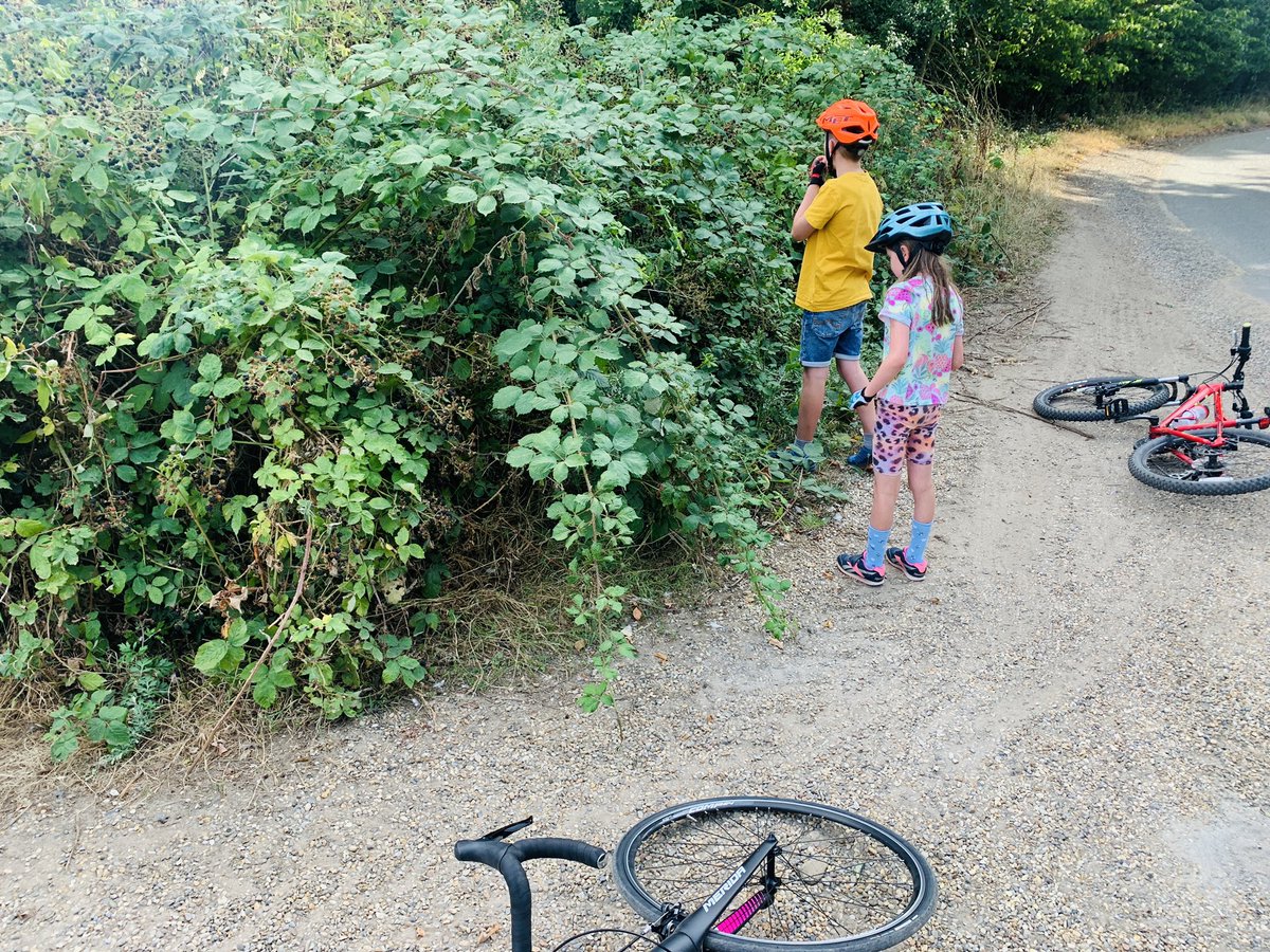 Steven Finney tweet media