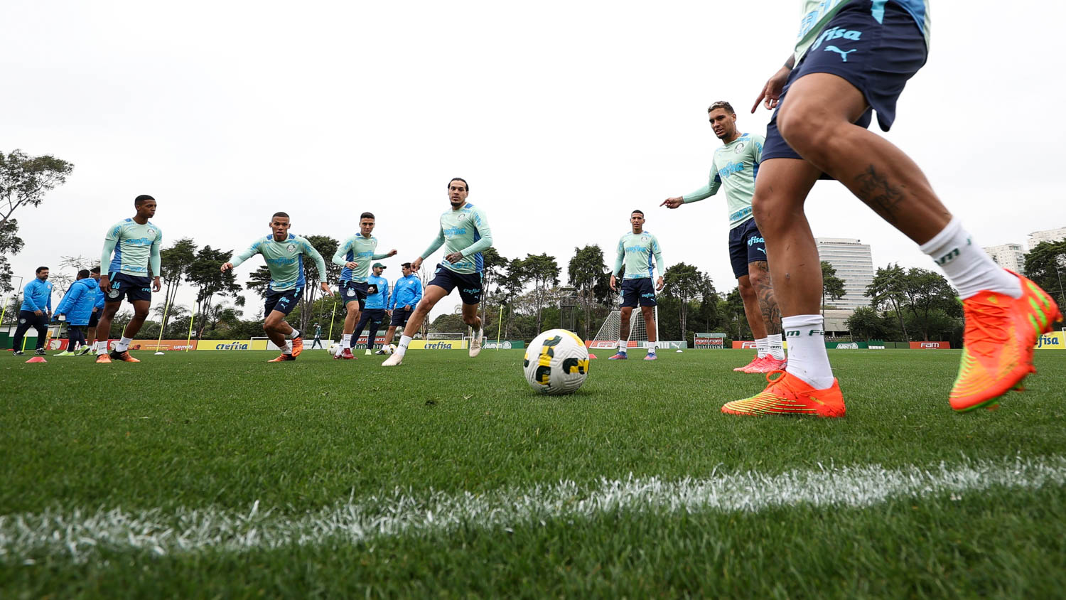  Palmeiras finaliza preparação para duelo contra Goiás, pelo Brasileirão