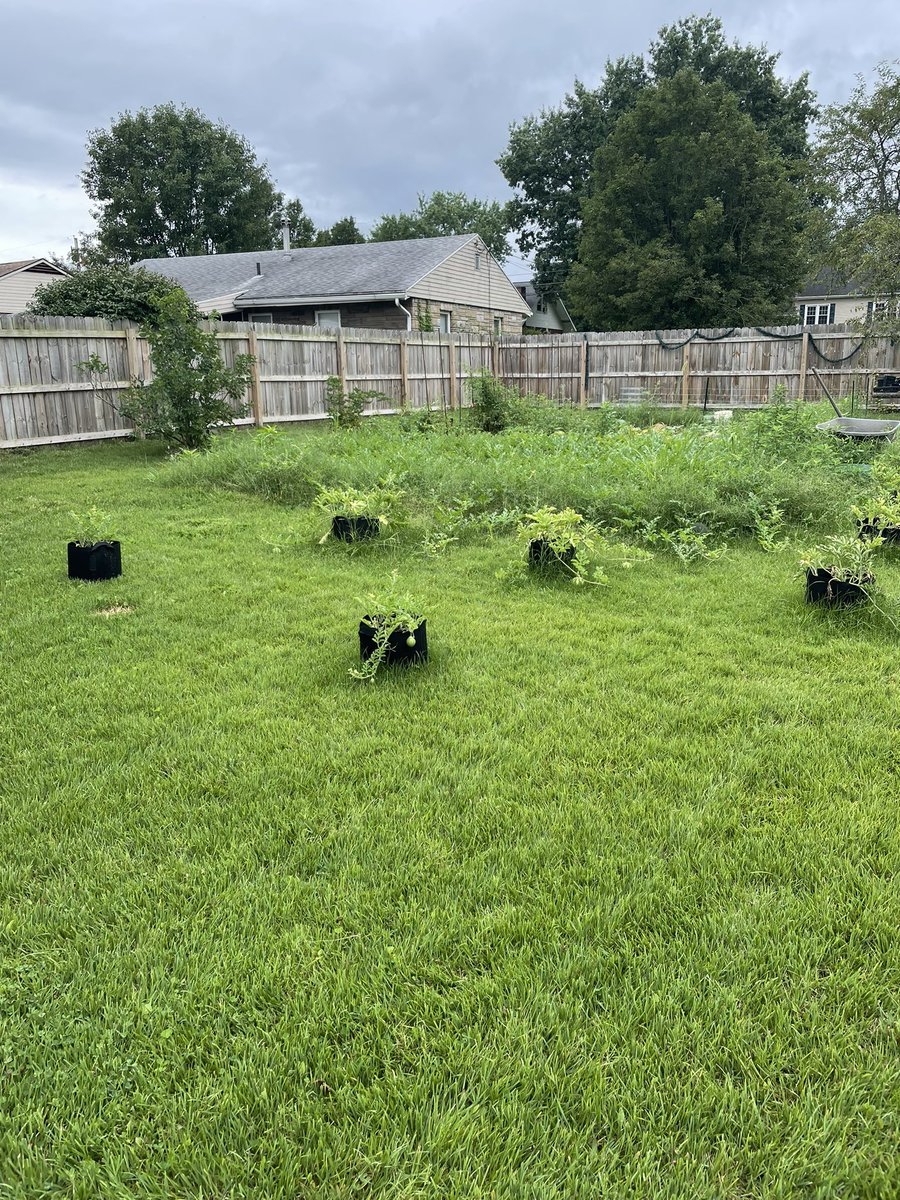 Wade Baker tweet media