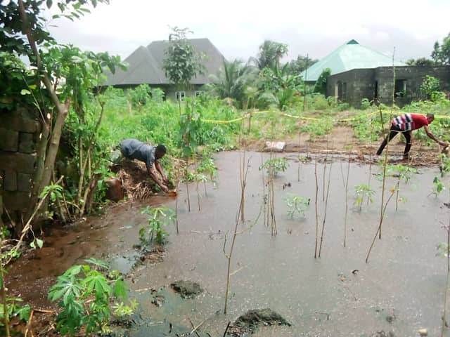 LEKEH DEVELOPMENT FOUNDATION (@foundationlekeh) on Twitter photo #OurlivelihoodnotOil.
Another oil spills recorded in Ogoni environment on the 1st of August, 2022 as e result of SHELL equipment failure. <a href="/Actions4B/">Actions4Biodiversity</a> <a href="/350Africa/">350 Africa</a> <a href="/ForFutureNL/">Fridays For Future Nederland</a> <a href="/shellmustfall/">Shell Must Fall!</a> <a href="/Shell/">Shell</a> <a href="/shellslies/">@ShellsLies</a> #OurlivelihoodnotOil.
Another oil spills recorded in Ogoni environment on the 1st of August, 2022 as e result of SHELL equipment failure. <a href="/Actions4B/">Actions4Biodiversity</a> <a href="/350Africa/">350 Africa</a> <a href="/ForFutureNL/">Fridays For Future Nederland</a> <a href="/shellmustfall/">Shell Must Fall!</a> <a href="/Shell/">Shell</a> <a href="/shellslies/">@ShellsLies</a>