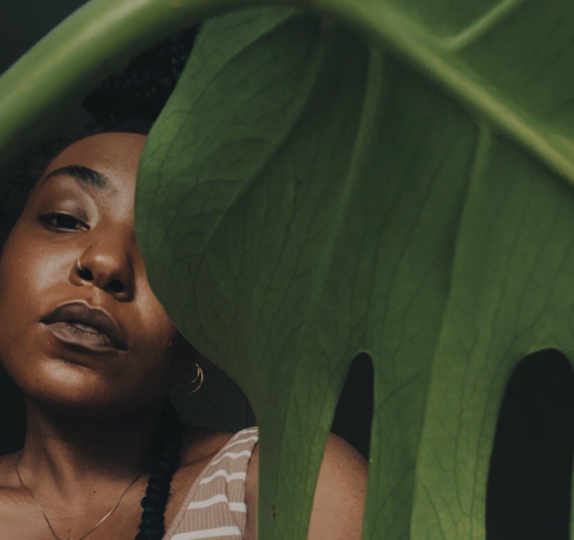 opalspliffss's tweet photo. 🌿lately. https://t.co/Zk117JX2u1