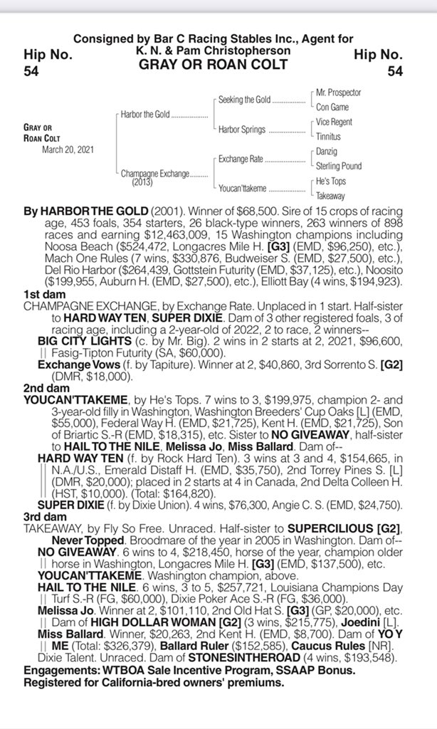 WTBOA's tweet photo. MAJOR CATALOG UPDATE - BIG CITY LIGHTS returned from a layoff to win the Real Good Deal Stakes @DelMarRacing yesterday. The half brother to hip 54 is now 3 for 3 with earnings of almost $200k. https://t.co/tV9NRLT29R