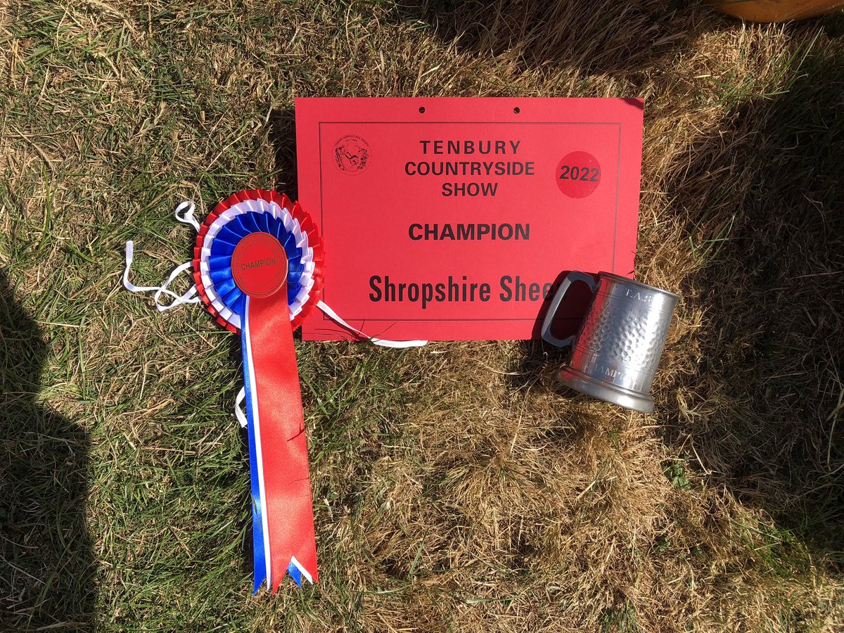 We are very proud of some of our Shropshire Sheep who have been at @TenburyAgShow today and have done very well. A 1st &amp; 3rd in the Ewe class and then our winning ewe went on to be overall breed champion! 

 <a href="/HeritageShrop/">ShropshireSheep.org</a> 

#WINNER #sheep #tenburyshow #shropshiresheep