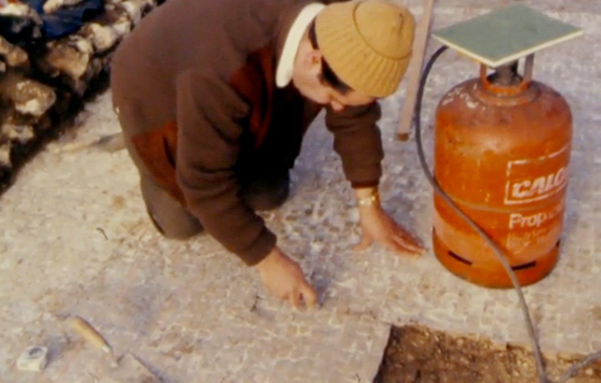Durotrigesdig's tweet photo. Hi Rockbourne villa @HCTRoman

Saw this clip from @BBCSouthNews from 1978 on #BBCRewind @BBCArchive about the joys of mosaic lifting and thought it eminently suitable viewing for #Rockbourne80 and #RomanSiteSaturday 😊👍

Happy anniversary ! 🎉🎊🥳

https://t.co/PNHcVbVsda https://t.co/8AgUQio5ZV