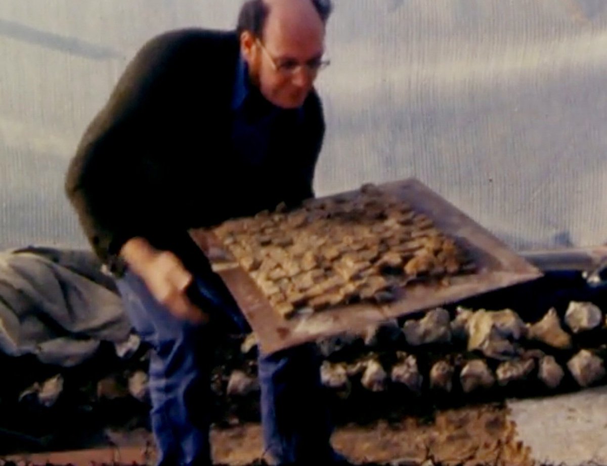 Durotrigesdig's tweet photo. Hi Rockbourne villa @HCTRoman

Saw this clip from @BBCSouthNews from 1978 on #BBCRewind @BBCArchive about the joys of mosaic lifting and thought it eminently suitable viewing for #Rockbourne80 and #RomanSiteSaturday 😊👍

Happy anniversary ! 🎉🎊🥳

https://t.co/PNHcVbVsda https://t.co/8AgUQio5ZV