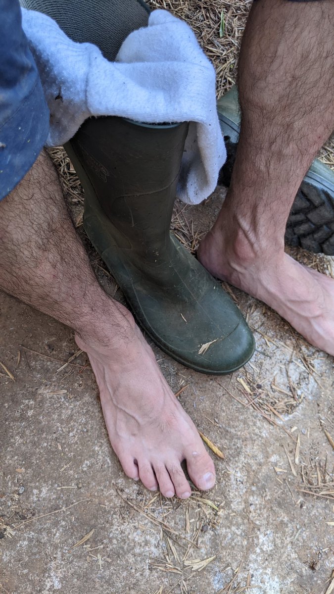 AlphaFarmer_'s tweet photo. Time for a massage for my sweaty feet from a fucking slave!
Footfetish gayfeet feetslave tribute malefeet feet male sweatysole cashslave humanatm
#AlphasofFindom #MASTER_UPDATES #rtcashmaster #rt_slave_ma #cashmasterrt @promortpig #rt4kings #rt4dom https://t.co/J6Ht0YTPF8