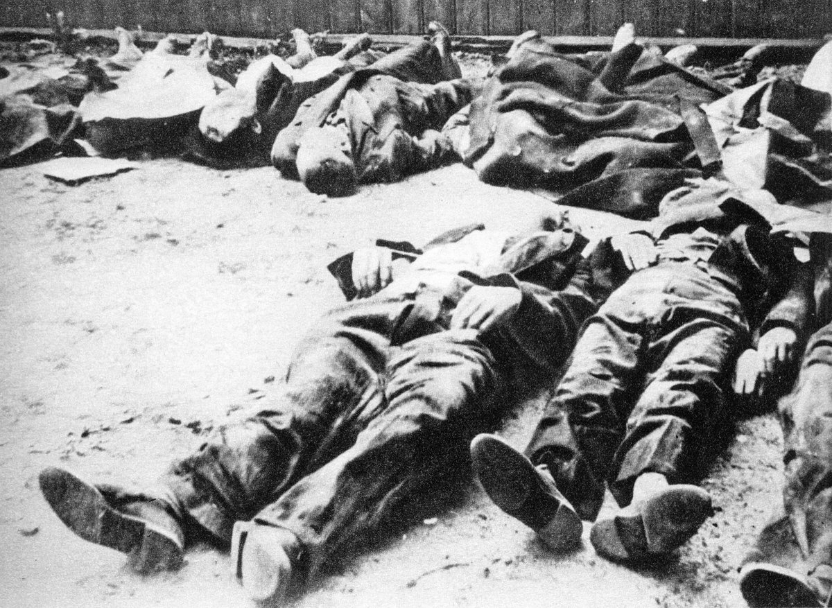 RealTimeWWII photo