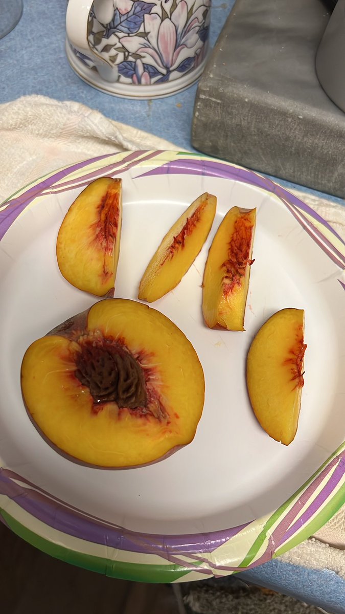 cmob's tweet photo. Visited Dickey Peach Farm this morning. https://t.co/NjXjYKEMas