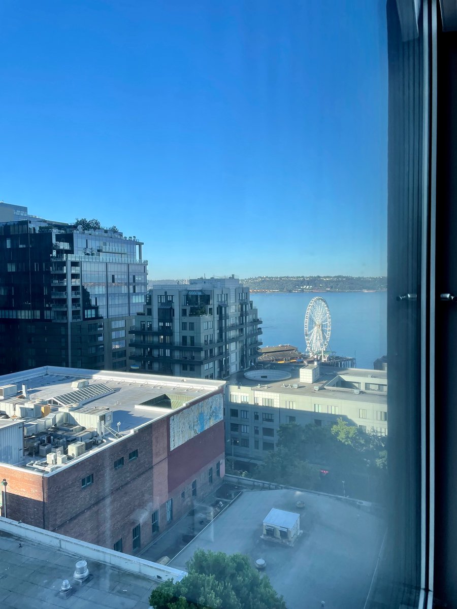 Just presented @Schoeneborn_D and my paper at @AOMConnect @AOM_OMT Flew to Seattle for a fully virtual session 🤷. A bit sad not to see the attendants but at least the view was great!