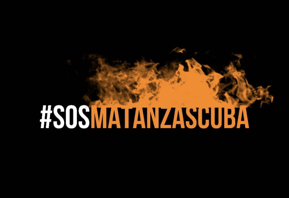 Luz_Cuba's tweet photo. Necesitamos ayuda. #SOSCuba #SOSCuba https://t.co/nkag6Tzh29