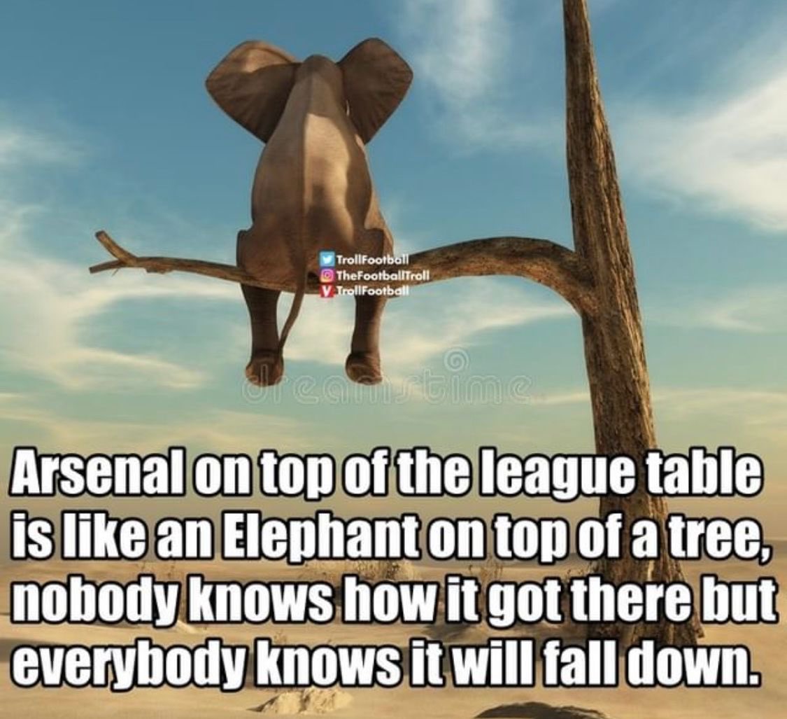 Ain’t that the truth! 🤣🤣🤣