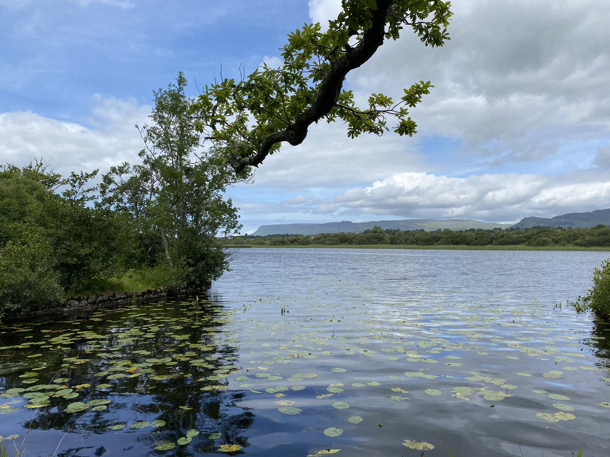 jackiemcguin's tweet photo. Day 1314 of #1400daysofwalking #DoorlyPark Back home enjoying the scenery and walking trails here in #Sligo #Cleveragh https://t.co/S5bmjsokn1