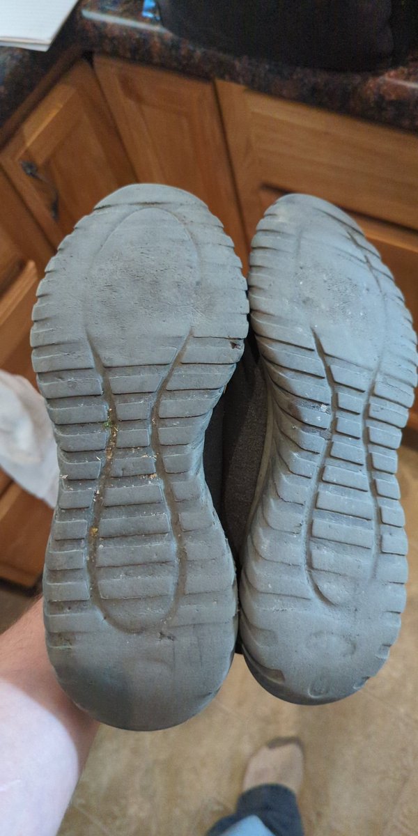 Thomas Ford tweet media