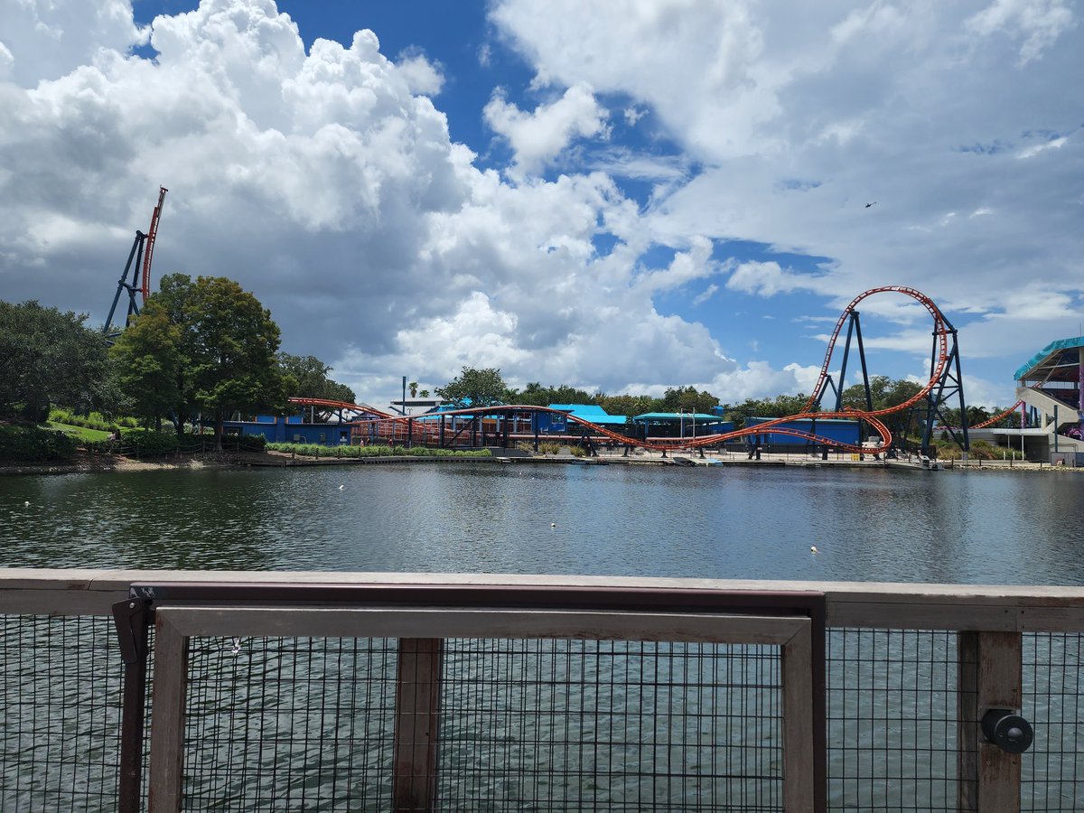 dbloccupancy's tweet image. It's a #SeaWorld kind of day!