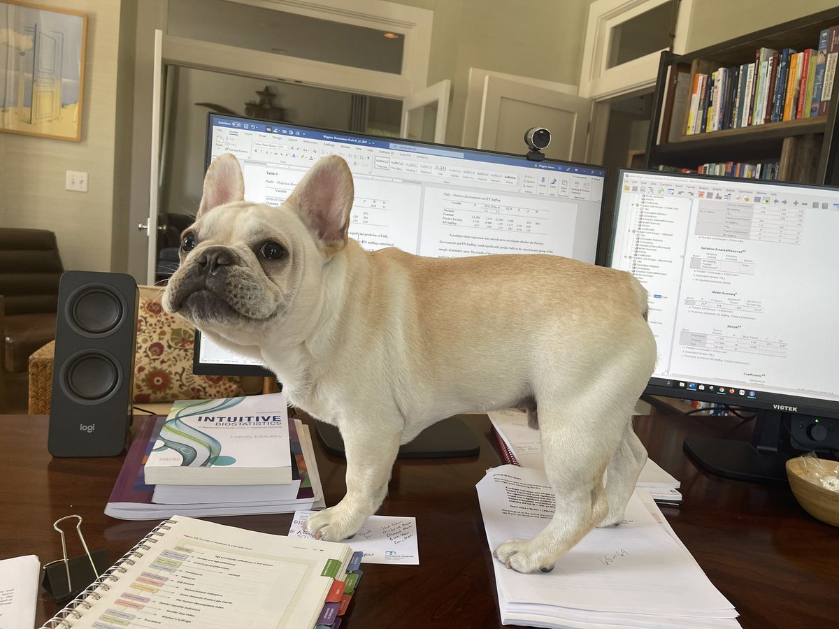 JamieWigginsRN's tweet image. Diesel is helping interpret regression models! He is pretty smart. #DissertationGoals.