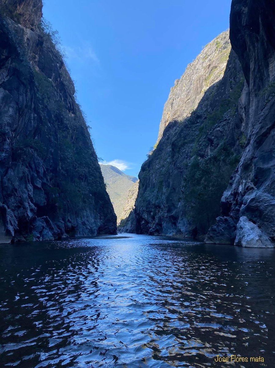 viajaencortomex's tweet photo. 💦 Excelente Sábado, quizás no lo sabías pero Ojo de Agua en #Xichú es el destino perfecto en #Guanajuato para desconectarte del trabajo, la rutina y disfrutar de un #FelizSabado 💆🏻‍♀️  #ViveGrandesHistorias

📸: Juanjo Menta / José Flores https://t.co/zA6RIInxUc