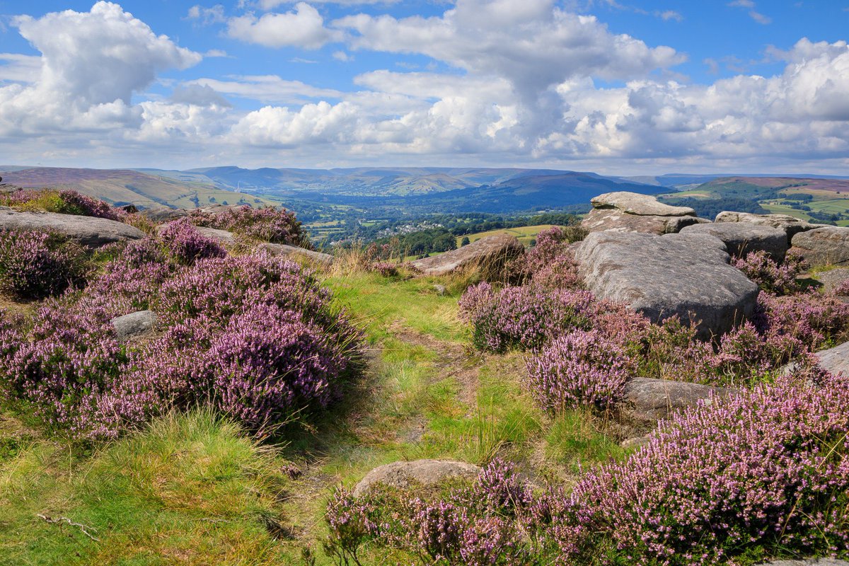 CJWimages's tweet photo. The heather is out and looking stunning. In my #etsy shop: Surprise View and Hope Valley above Hathersage | Photograph | Derbyshire Peak District | Wall art | Peak District View  | Heather Moors https://t.co/ozNhdGKl1q https://t.co/GpIINUNgBg