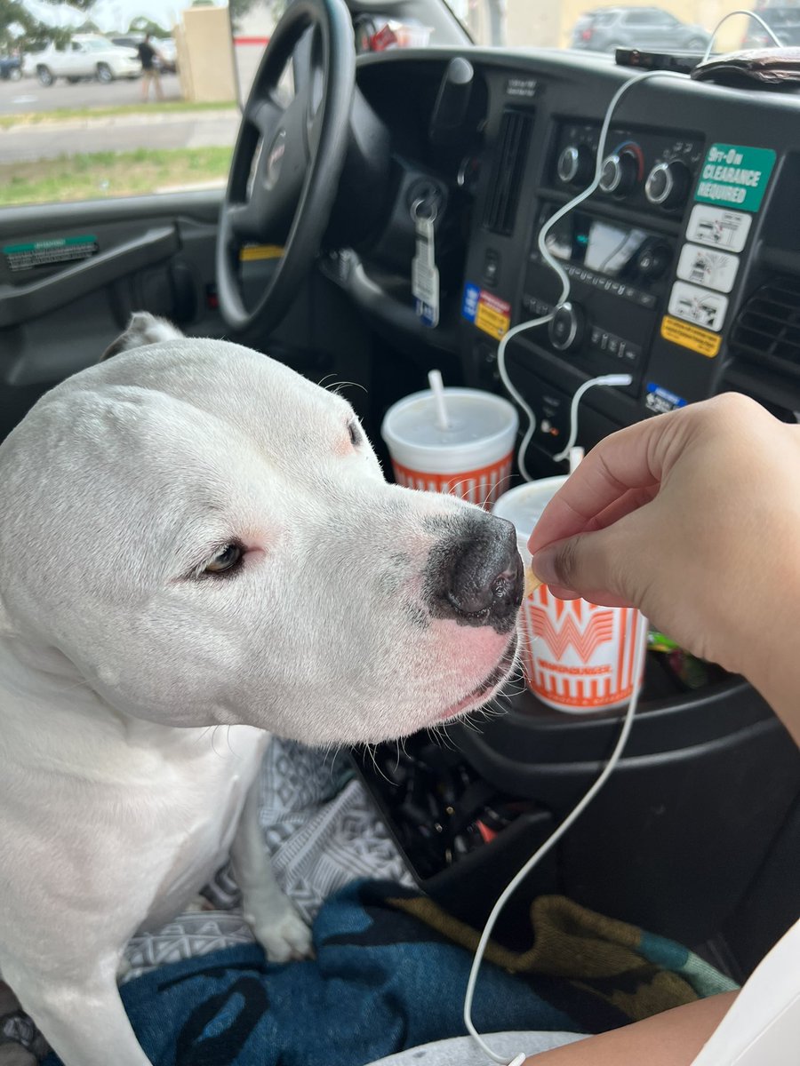 ayemwhyes's tweet photo. Our last @Whataburger for awhile #ByeTexas https://t.co/4ecWuFRYS1