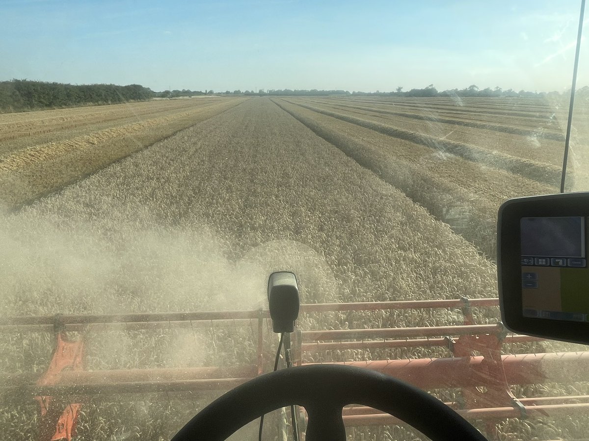 682JJG's tweet photo. Last breed of harvest ‘22 - already 😳 https://t.co/35cPrTnEqO