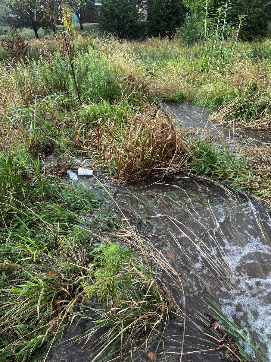 GreenQueenCity's tweet photo. Cheers to this litter net at South Creek for holding up in yesterday’s cloudburst. There was actually so much rain in such a short time that litter was drifting over the top. This is a good reminder that we need to pair this technology with litter reduction upstream https://t.co/wmvyyQY1Xk