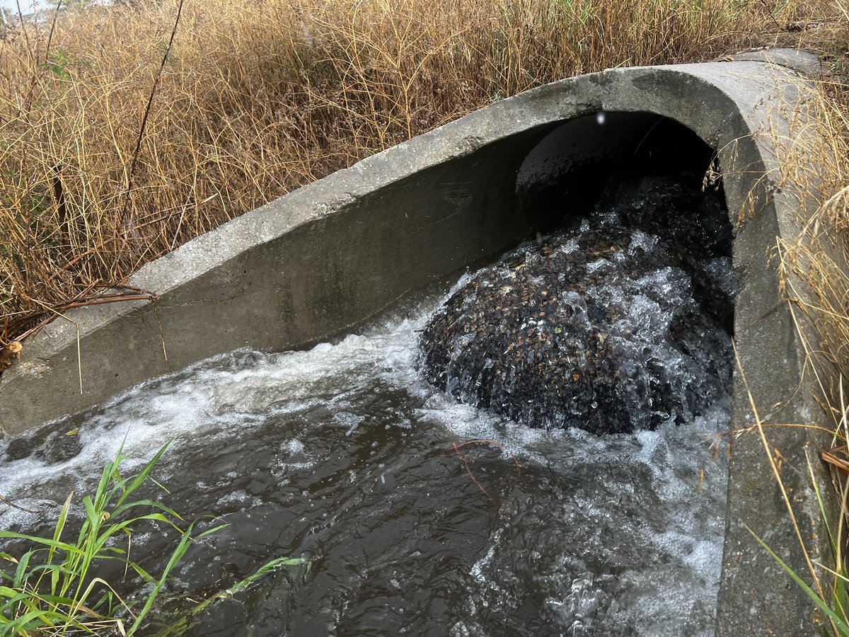 GreenQueenCity's tweet photo. Cheers to this litter net at South Creek for holding up in yesterday’s cloudburst. There was actually so much rain in such a short time that litter was drifting over the top. This is a good reminder that we need to pair this technology with litter reduction upstream https://t.co/wmvyyQY1Xk