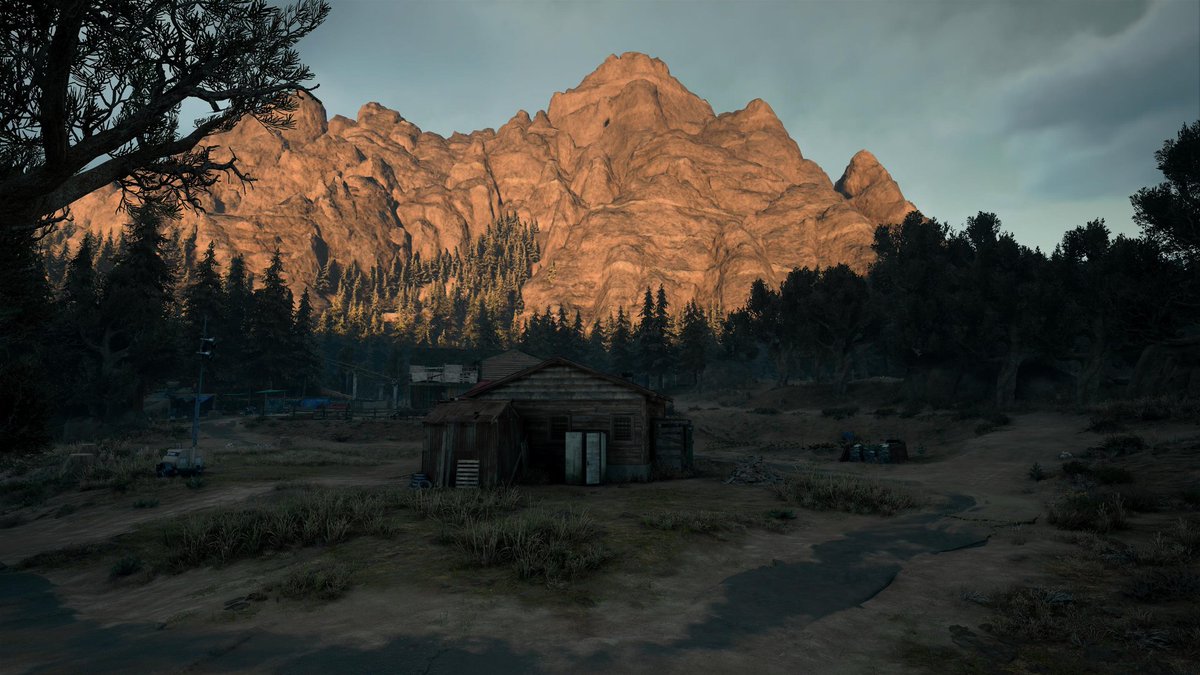 LoudMouth_LaVal's tweet photo. #DaysGone #PS5Share #DeadPunk https://t.co/jLon2MPXiH