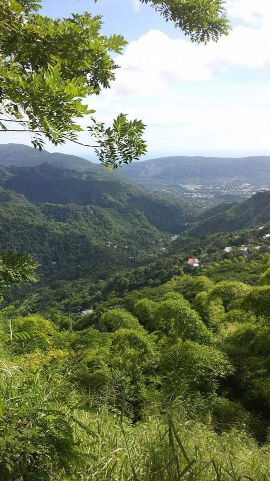 sarahpinkypink's tweet photo. Better Late Than Never!!
*Happy 60th Independence Day Jamaica 💛🖤💚🌴
#MyHomeFromHome 
#JamaicanIndependenceDay 🇯🇲🇯🇲🇯🇲🇯🇲🇯🇲🇯🇲🇯🇲🇯🇲🇯🇲🇯🇲🇯🇲 https://t.co/vSYwgUqJ4V