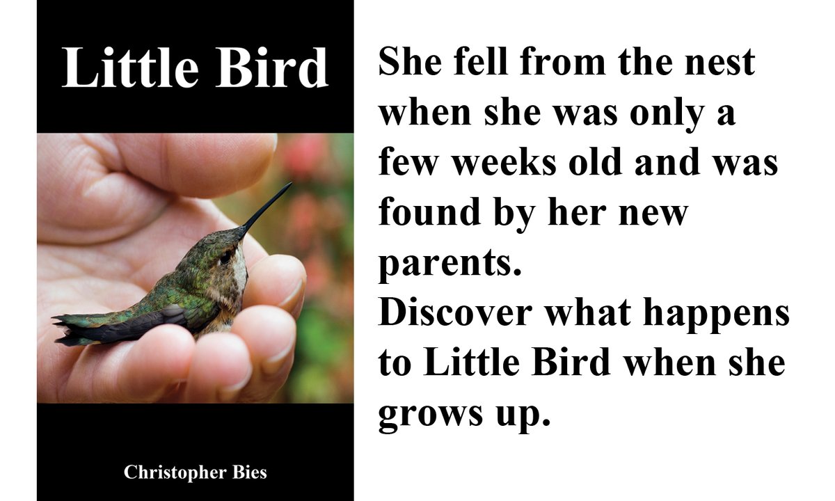 BiesChris's tweet photo. FREE this weekend August 6th and 7th! The eBook version of my latest book, Little Bird. If you like the book please write a customer review on Amazon. The review section is located lower on the books home page. I hope you enjoy the story. Chris
https://t.co/UiaLWgSEE0 https://t.co/4cQANKDVnL
