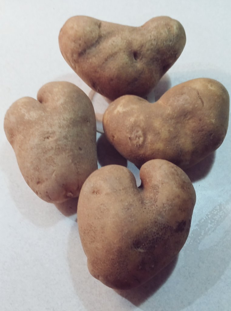 Suz2u18's tweet photo. I bought these heart shaped potatoes because nobody else would. They were delicious. https://t.co/WbxTyXxWhz