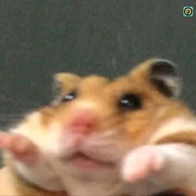 أنا بعد ما جبت 79%ومش عارفة أفرح ولا أزعل: