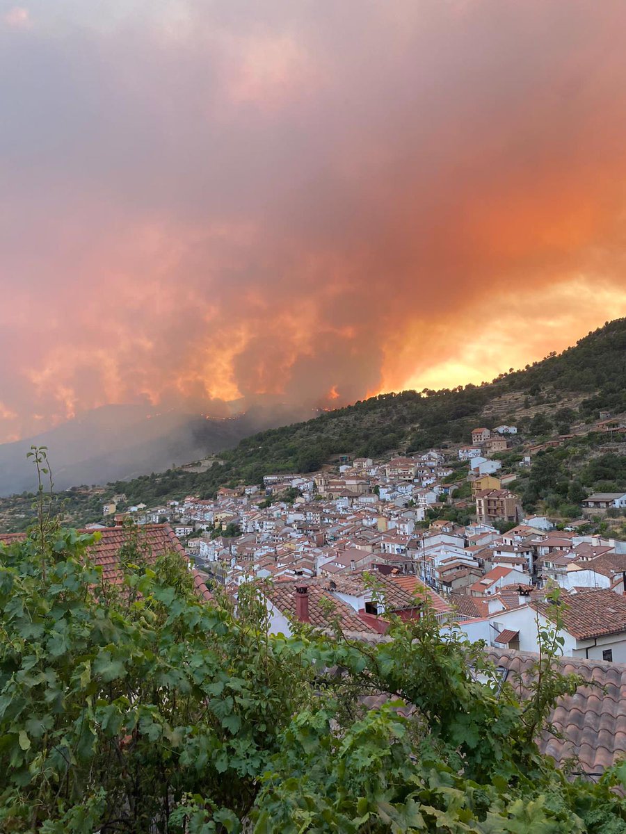 MiguelGD83's tweet photo. Se os tiene que caer la cara de vergüenza @alferma1 @jcyl después de 3 grandes incendios aquí tenemos el 4,esto es un desastre!!!
#PedroBernardo 
#IFSantaCruzDelValle https://t.co/gQgYviVSpp