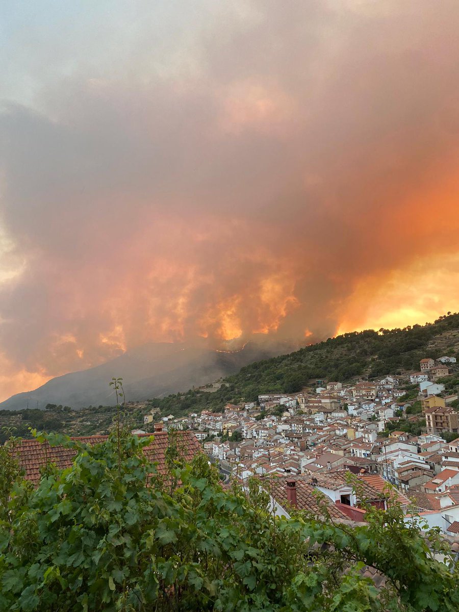 MiguelGD83's tweet photo. Se os tiene que caer la cara de vergüenza @alferma1 @jcyl después de 3 grandes incendios aquí tenemos el 4,esto es un desastre!!!
#PedroBernardo 
#IFSantaCruzDelValle https://t.co/gQgYviVSpp