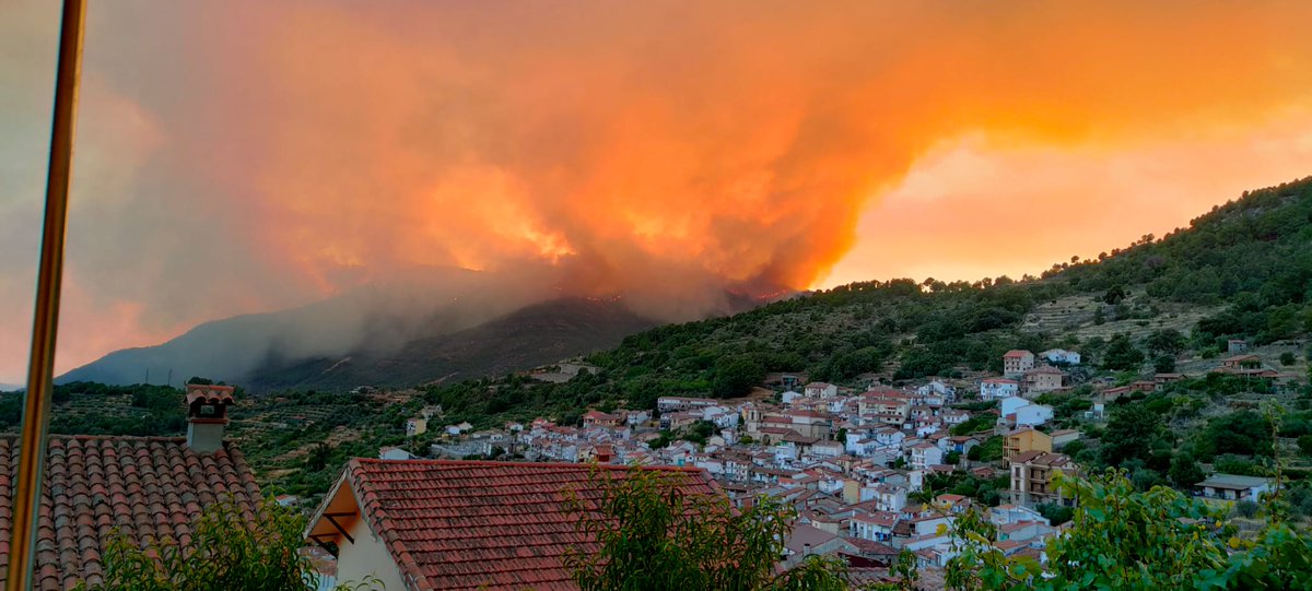 MiguelGD83's tweet photo. Se os tiene que caer la cara de vergüenza @alferma1 @jcyl después de 3 grandes incendios aquí tenemos el 4,esto es un desastre!!!
#PedroBernardo 
#IFSantaCruzDelValle https://t.co/gQgYviVSpp