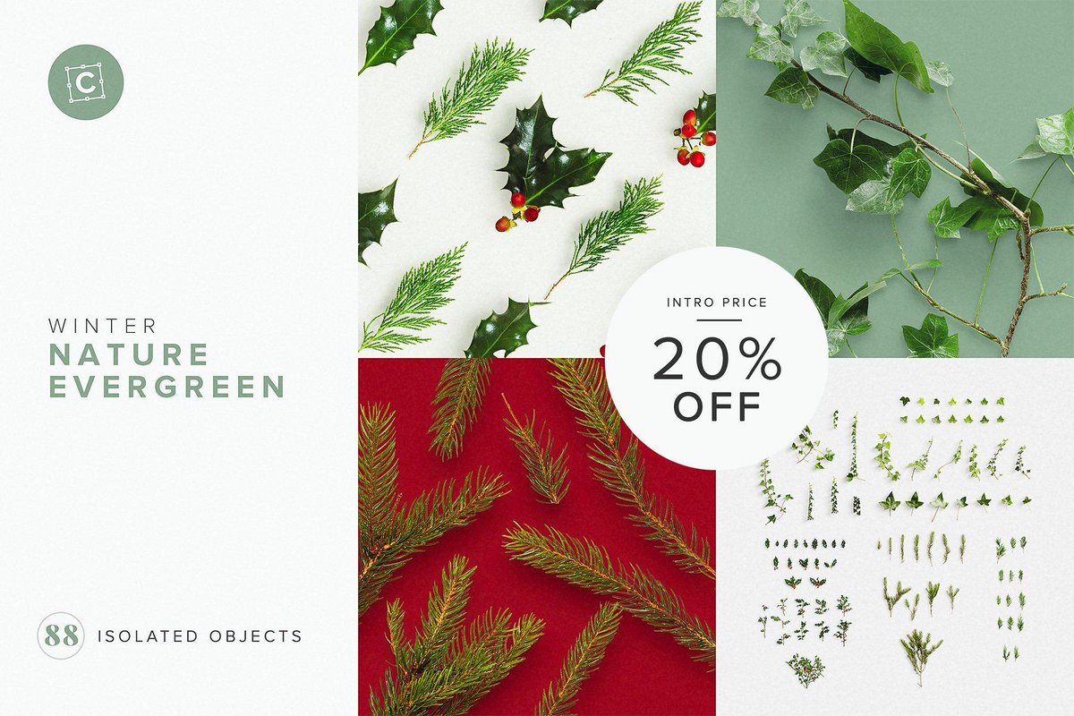 DavidZydd's tweet image. Evergreen &amp;amp; Fir Tree Scene Creator creativemarket.com/romanjusdado/3…  #social #papersize #scenegenerator #psd #psd #wood #creative #templates #museum #a4 #modern