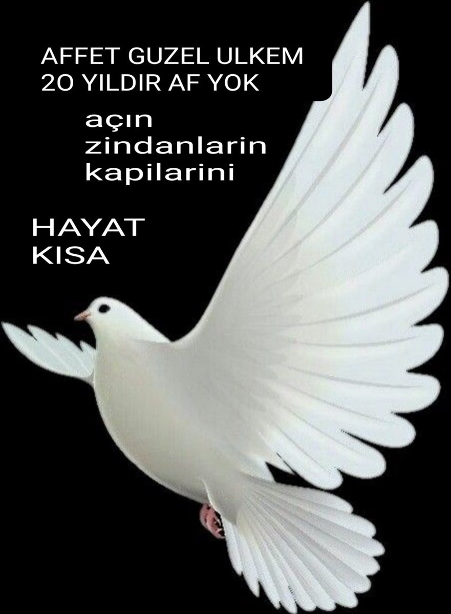 DouTahaEla1's tweet photo. GenelafSözünü TutMHP  🕊🕊🕊🕊🕊
GenelAf Çıkıyor  🕊🕊🕊
#GenelAf https://t.co/xaYWlCVZbK