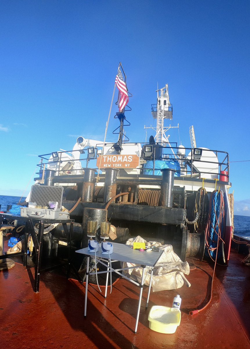 Darcy Philpott (@darcyphilpott) on Twitter photo #eDNA water sampling on the Tug Thomas today - collecting water samples from 12 miles offshore within <a href="/AscensionMPA/">Ascension Island MPA</a> 🧬 #eDNA water sampling on the Tug Thomas today - collecting water samples from 12 miles offshore within <a href="/AscensionMPA/">Ascension Island MPA</a> 🧬