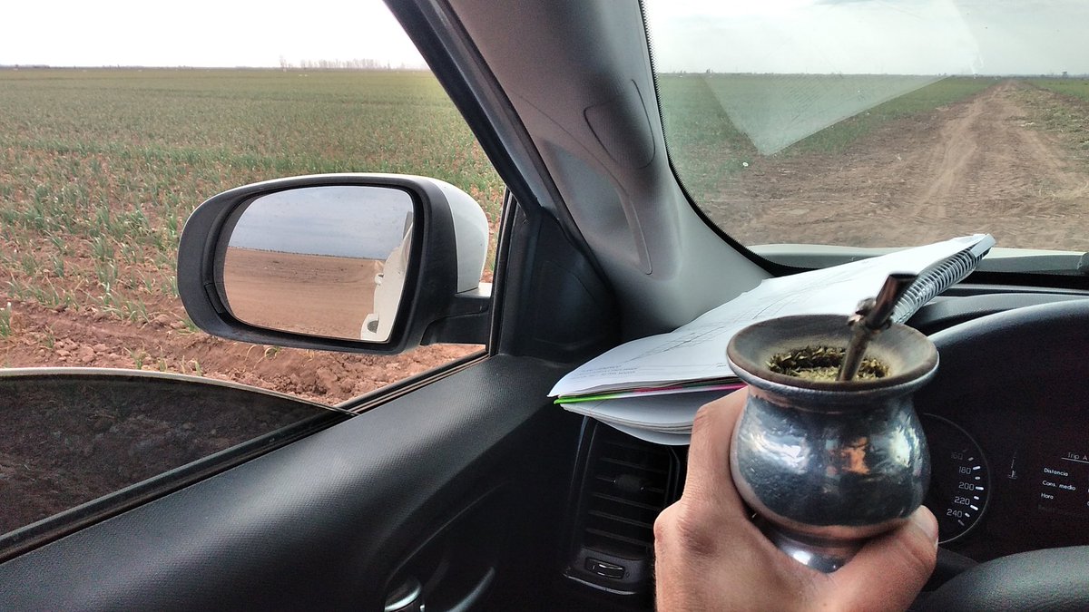 Norberto Páez tweet media