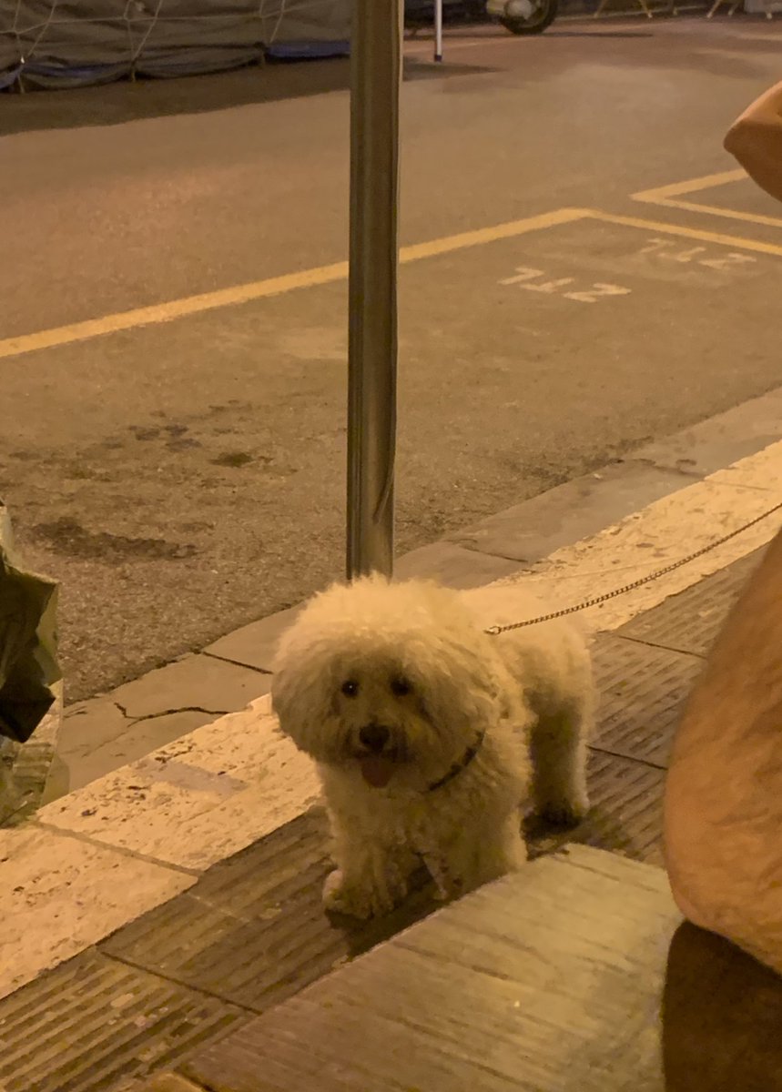 disco_stuc's tweet photo. Anima miaaaa torna a casa tuaaaa https://t.co/XGh46j9yBH