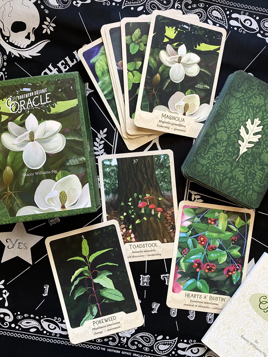 Poisonpath's tweet image. My new favorite oracle deck!  Southern Botanic Oracle ☠️🪴🖤 this is my first plant deck but these are gorgeous and they also have POISONOUS PLANTS 

#southernbotanicoracle #oraclecards #botanicaloracle #plantbasedoracle #plantwisdom #plantspirit