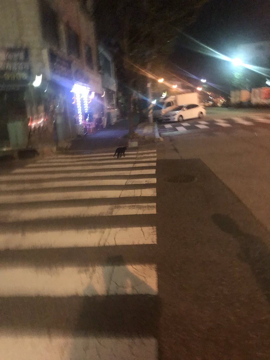 오늘은 6명이서 놀았지!!재미있었다!!
마지막에 고양이 무단횡당 안함거 ㄹㅈㄷ💕
모두들 반갑고 고맙고 즐거웠어요!! 밥먹고 커피마시고 노래방까지 심지어 마지막에 집에서 간단하게 술마시는중!! 내일모임도 기대중💕