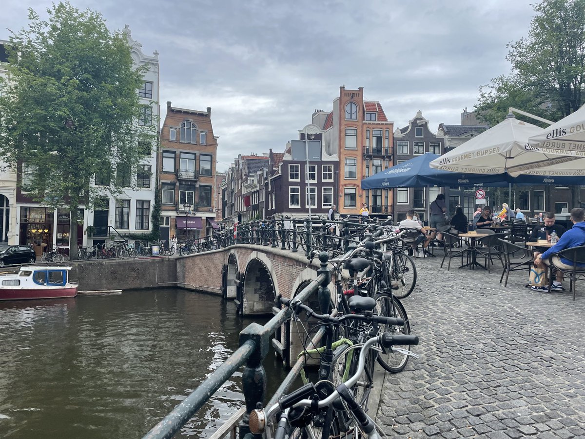 JanHasselman's tweet photo. To be American in the Netherlands is to have your face rubbed constantly in all the things we could have had, but chose not to.  

They get dense, walkable cities, world-class transit, and mind-blowing bike infrastructure.   We get car commuting, truck nutz, and Panera bread. Jfc https://t.co/jG786Kt78O